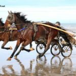 Course en Direct