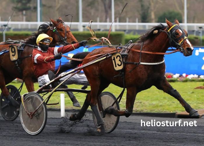 Formule Sur Turf (1)