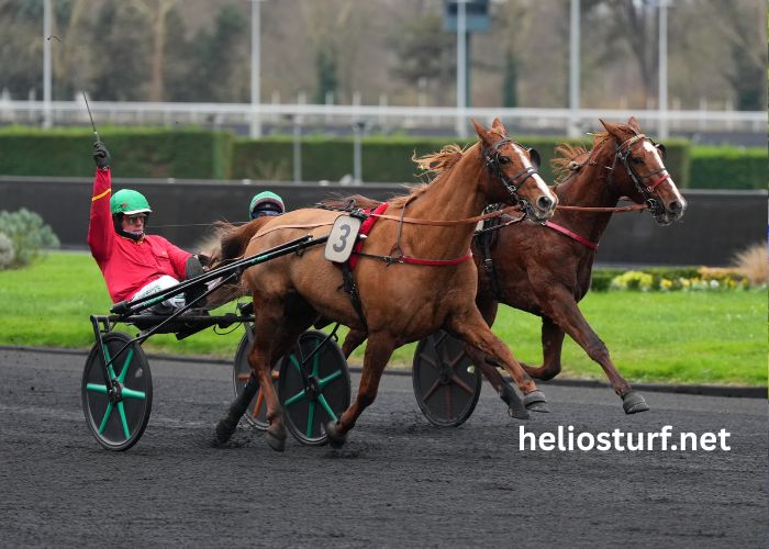 Jephte Turf Accueil (1)