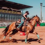 Journal Hippique Lonab (1)