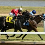 LA Richesse Turf Vip