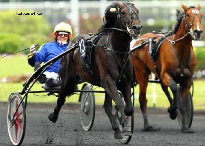 Lebosse Du Turf
