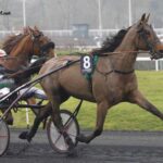 Power Turf Gagnant