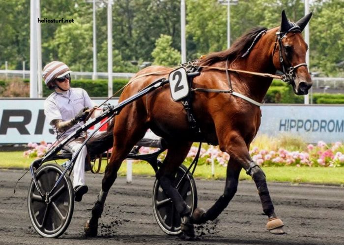 Programme Pmu Demain (1)