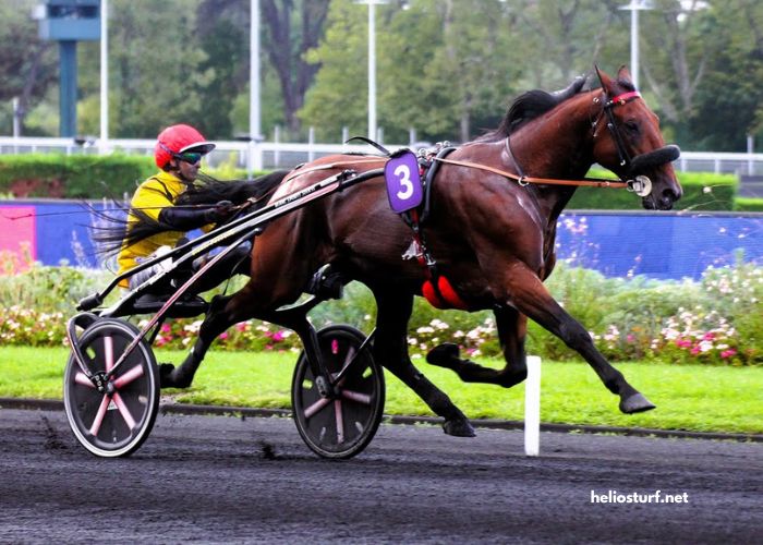 Promo Turf 100 Gratuit